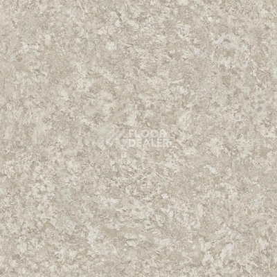 Линолеум Tarkett Sprint Pro DELIO 1 фото 1 | FLOORDEALER